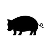 Icono cerdo